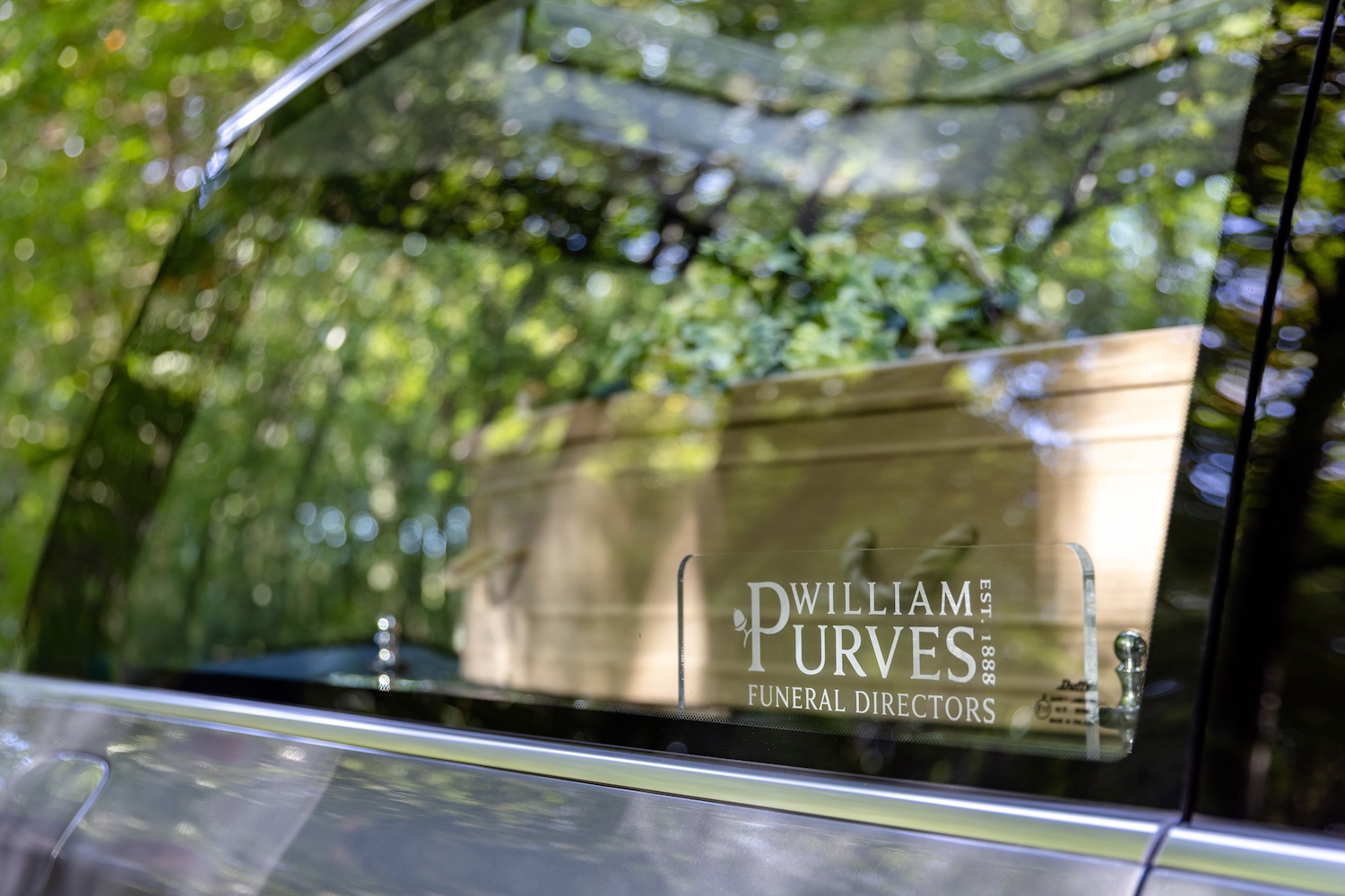 A coffin in the back of a hearse with the leaves of a tree reflected in the glass